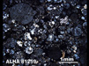 Thin Section Photograph of Sample ALHA 81259 in Cross-Polarized Light