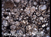 Thin Section Photograph of Sample ALHA 81272 in Plane-Polarized Light