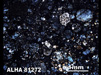 Thin Section Photograph of Sample ALHA 81272 in Cross-Polarized Light