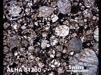 Thin Section Photograph of Sample ALHA 81280 in Plane-Polarized Light