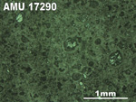 Thin Section Photo of Sample AMU 17290 in Reflected Light with 2.5X Magnification