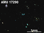 Thin Section Photo of Sample AMU 17290 in Cross-Polarized Light with 2.5X Magnification
