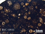Thin Section Photo of Sample BUC 10933 in Plane-Polarized Light with 1.25X Magnification