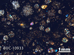 Thin Section Photo of Sample BUC 10933 in Cross-Polarized Light with 1.25X Magnification
