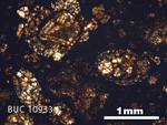Thin Section Photo of Sample BUC 10933 in Plane-Polarized Light with 2.5X Magnification
