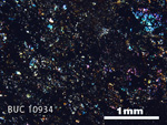 Thin Section Photograph of Sample BUC 10934 in Cross-Polarized Light