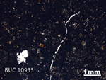 Thin Section Photograph of Sample BUC 10935 in Plane-Polarized Light