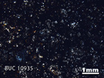 Thin Section Photograph of Sample BUC 10935 in Cross-Polarized Light