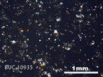 Thin Section Photograph of Sample BUC 10935 in Plane-Polarized Light