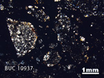 Thin Section Photograph of Sample BUC 10937 in Cross-Polarized Light