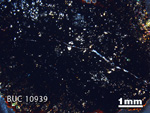 Thin Section Photograph of Sample BUC 10939 in Cross-Polarized Light