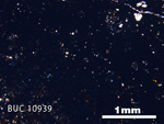 Thin Section Photograph of Sample BUC 10939 in Cross-Polarized Light