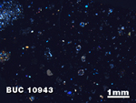Thin Section Photo of Sample BUC 10943 at 1.25X Magnification in Cross-Polarized Light