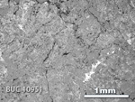 Thin Section Photograph of Sample BUC 10951 in Reflected Light