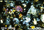 Thin Section Photo of Sample DEW 96601 in Cross-Polarized Light with 2.5X Magnification