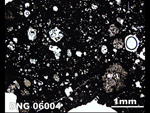 Thin Section Photo of Sample DNG 06004  in Plane-Polarized Light