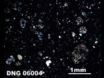 Thin Section Photo of Sample DNG 06004  in Cross-Polarized Light
