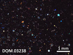 Thin Section Photo of Sample DOM 03238 in Cross-Polarized Light with  Magnification