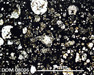 DOM 08006 Meteorite Thin Section Photo with 5x magnification in Plane-Polarized Light