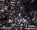 Thin Section Photograph of Sample DOM 08008 in Cross-Polarized Light