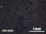 Thin Section Photo of Sample DOM 08009 at 2.5X Magnification in Reflected Light
