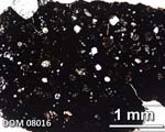 Thin Section Photograph of Sample DOM 08016 in Plane-Polarized Light