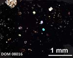 Thin Section Photograph of Sample DOM 08016 in Cross-Polarized Light