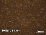 Thin Section Photo of Sample DOM 08139 at 1.25X Magnification in Reflected Light