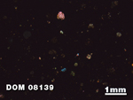 Thin Section Photo of Sample DOM 08139 at 1.25X Magnification in Cross-Polarized Light