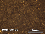 Thin Section Photo of Sample DOM 08139 at 2.5X Magnification in Reflected Light