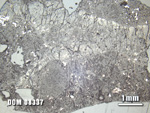 Thin Section Photo of Sample DOM 08337 at 1.25X Magnification in Reflected Light