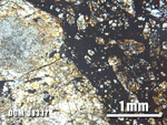 Thin Section Photo of Sample DOM 08337 at 2.5X Magnification in Plane-Polarized Light