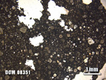 Thin Section Photo of Sample DOM 08351 at 1.25X Magnification in Plane-Polarized Light