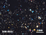 Thin Section Photo of Sample DOM 08351 at 1.25X Magnification in Cross-Polarized Light