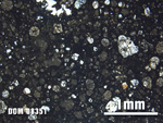 Thin Section Photo of Sample DOM 08351 at 2.5X Magnification in Plane-Polarized Light