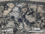 Thin Section Photo of Sample DOM 08372 at 2.5X Magnification in Plane-Polarized Light