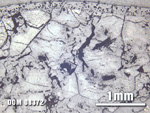 Thin Section Photo of Sample DOM 08372 at 2.5X Magnification in Reflected Light