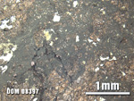 Thin Section Photo of Sample DOM 08397 at 2.5X Magnification in Plane-Polarized Light