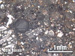 Thin Section Photo of Sample DOM 08468 at 2.5X Magnification in Plane-Polarized Light