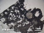 Thin Section Photo of Sample DOM 08476 at 1.25X Magnification in Plane-Polarized Light