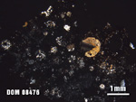 Thin Section Photo of Sample DOM 08476 at 1.25X Magnification in Cross-Polarized Light