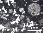 Thin Section Photo of Sample DOM 08476 at 2.5X Magnification in Plane-Polarized Light