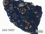 Thin Section Photo of Sample DOM 10077 in Plane-Polarized Light with 1.25X Magnification
