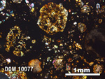 Thin Section Photo of Sample DOM 10077 in Cross-Polarized Light with 2.5X Magnification