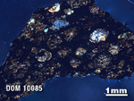 Thin Section Photo of Sample DOM 10085 in Cross-Polarized Light with 1.25X Magnification