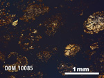 Thin Section Photo of Sample DOM 10085 in Plane-Polarized Light with 2.5X Magnification