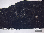 Thin Section Photo of Sample DOM 10088 in Plane-Polarized Light with 1.25X Magnification