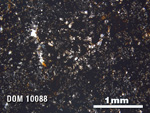 Thin Section Photo of Sample DOM 10088 in Plane-Polarized Light with 2.5X Magnification