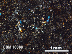 Thin Section Photo of Sample DOM 10088 in Cross-Polarized Light with 2.5X Magnification