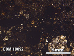 Thin Section Photo of Sample DOM 10092 in Plane-Polarized Light with 2.5X Magnification